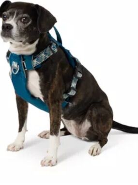 Arcadia trail adjustable reflective thread lightweight dog harness